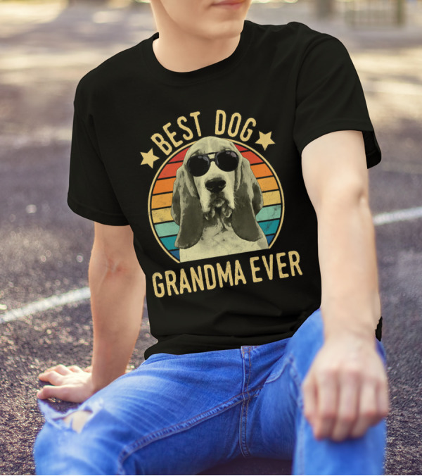 Best Dog Grandma Ever Basset Hound Sunglasses Retro Stripes T-Shirt