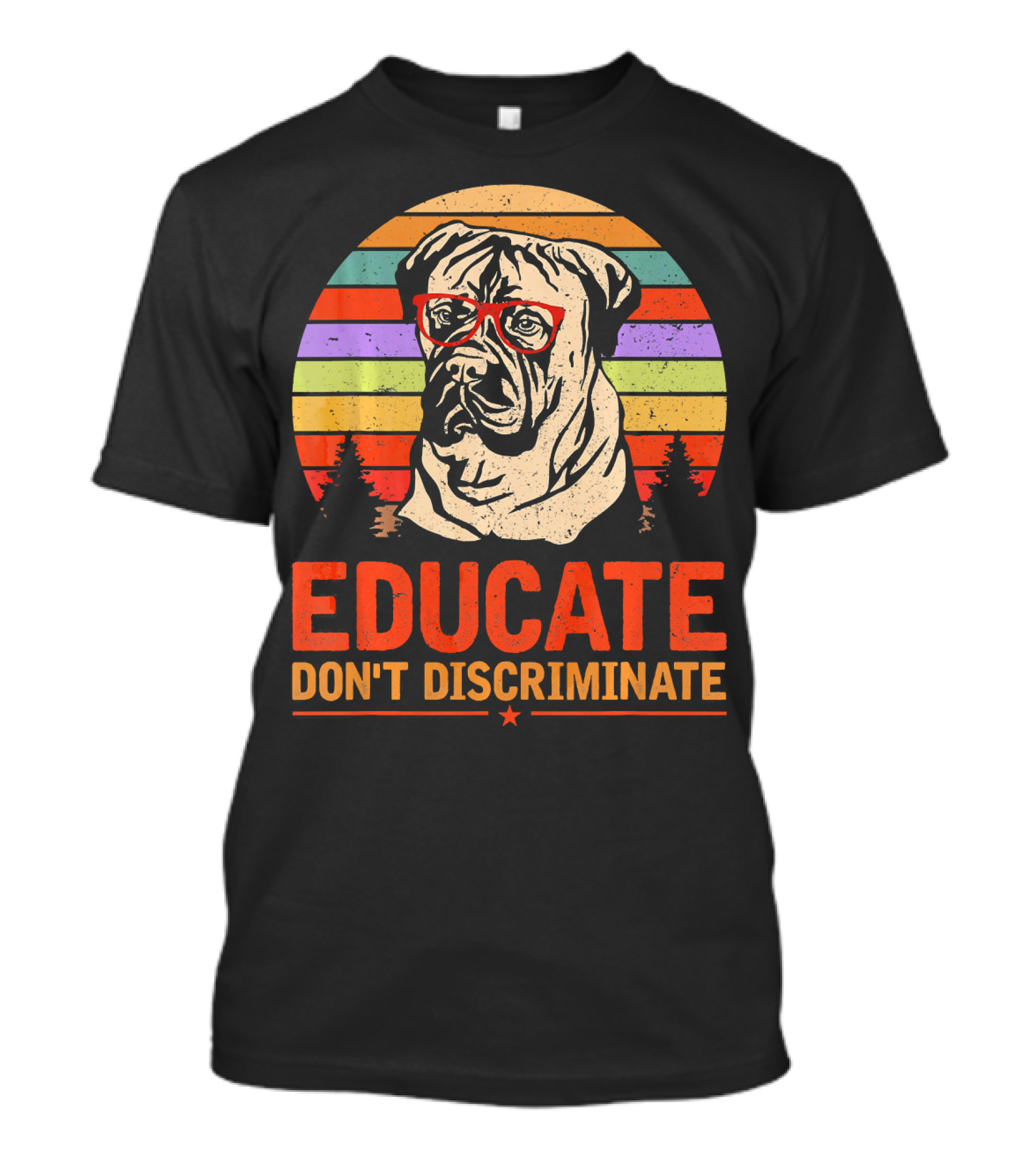 Educate Don't Discriminate Bullmastiff Vintage Sunset Glasses T-Shirt