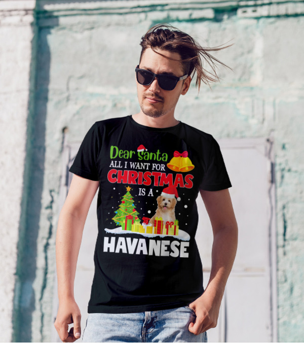 Dear Santa All I Want For Christmas Is A Havanese T-Shirt