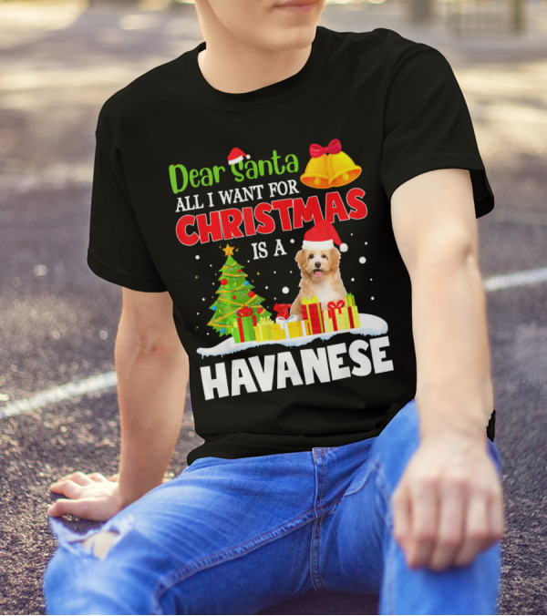 Dear Santa All I Want For Christmas Is A Havanese T-Shirt
