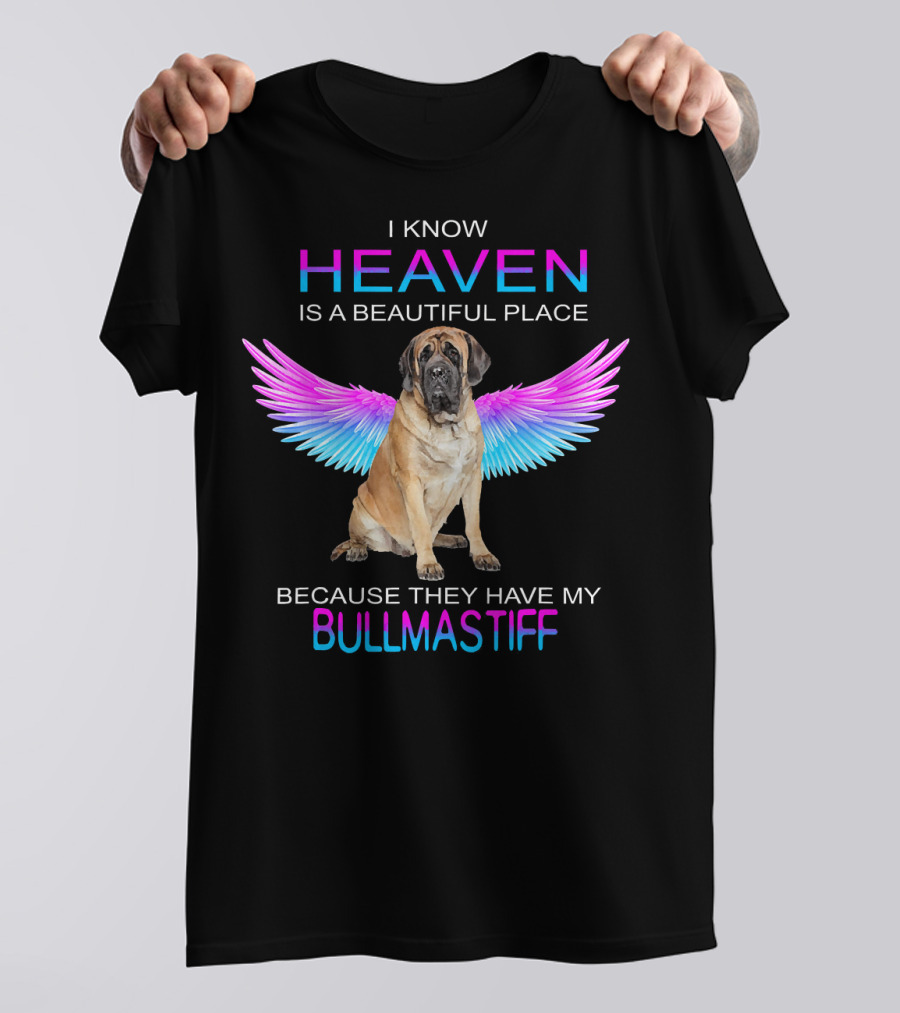 I Know Heaven Is A Beautiful Place Because They Have My Bullmastiff Angel T-Shirt