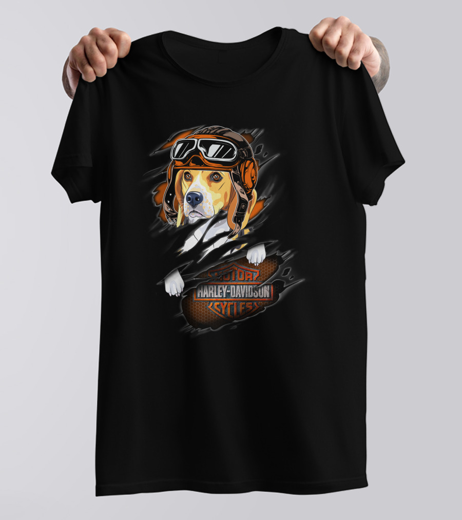 Beagle Wearing Aviator Helmet With Harley Davidson Cycles T-Shirt