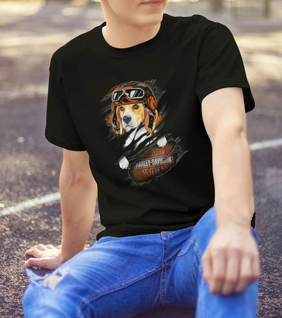 Beagle Wearing Aviator Helmet With Harley Davidson Cycles T-Shirt