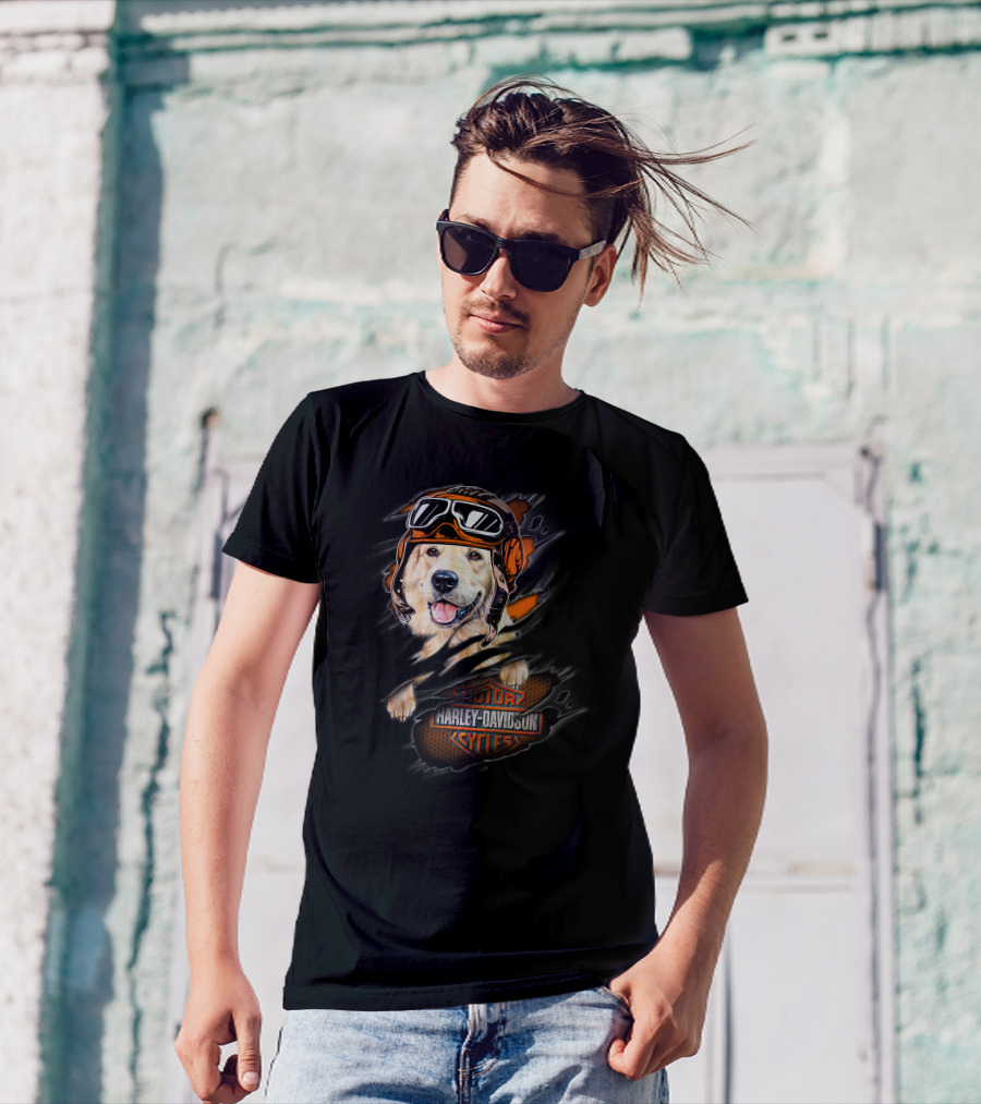 Golden Retriever Wearing Biker Helmet With Harley Davidson Motorcycles T-Shirt