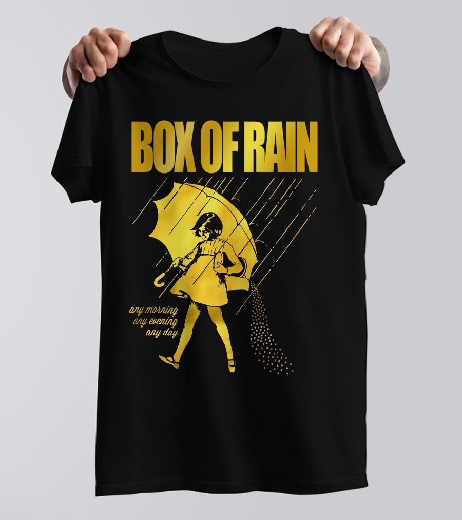 Box Of Rain Any Morning Any Evening Any Day Umbrella Girl T-Shirt
