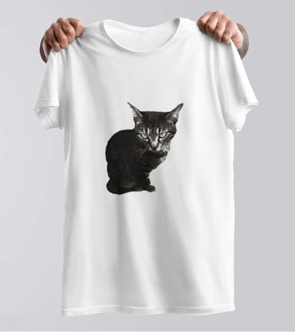 Smileymaya15 How Long Have I Been Here Kitten Cat Black Gray Tabby T-Shirt