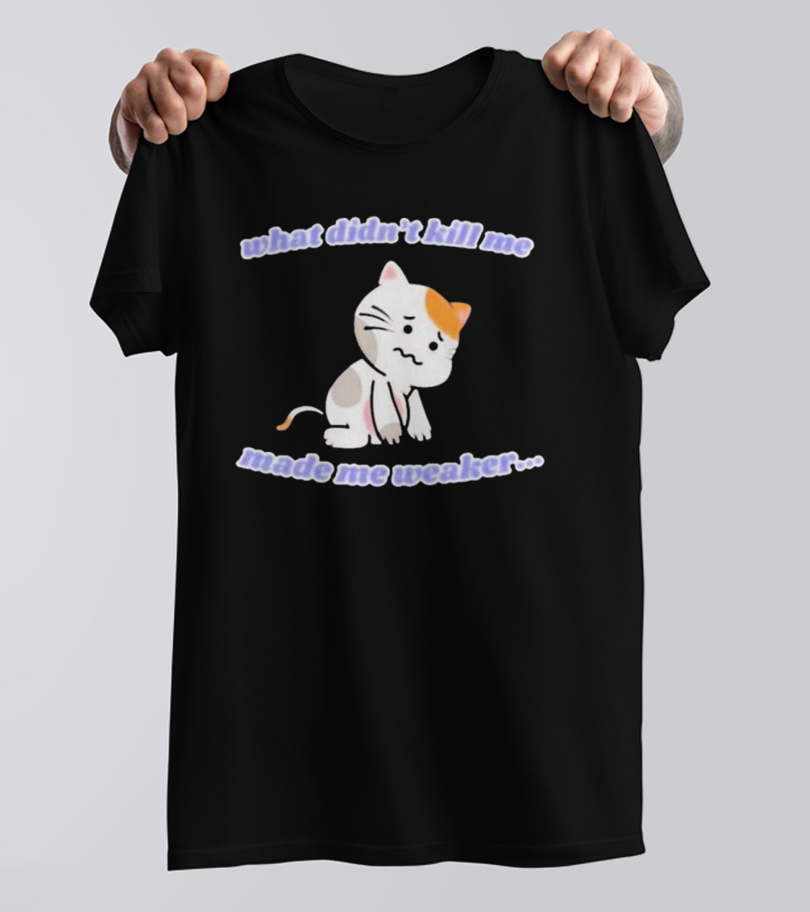 What Didn’t Kill Me Made Me Weaker Sad Cat T-Shirt