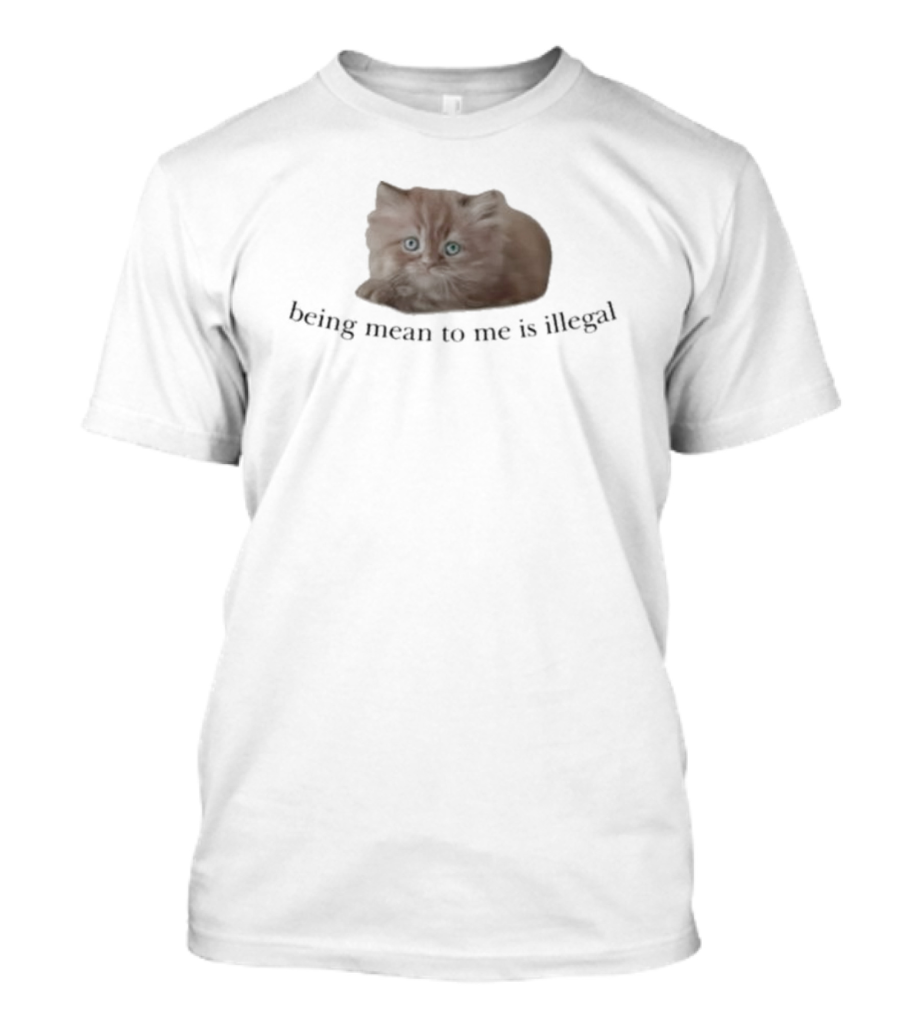 Being Mean To Me Is Illegal Cute Orange Cat T-Shirt