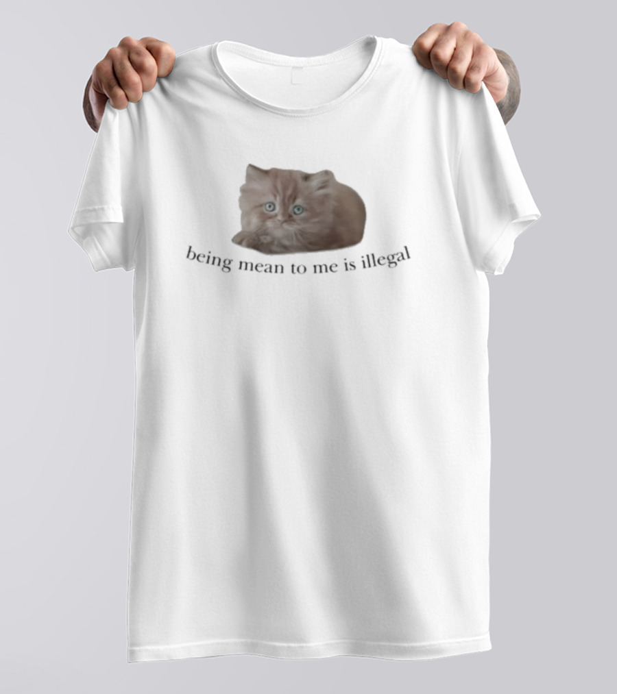 Being Mean To Me Is Illegal Cute Orange Cat T-Shirt