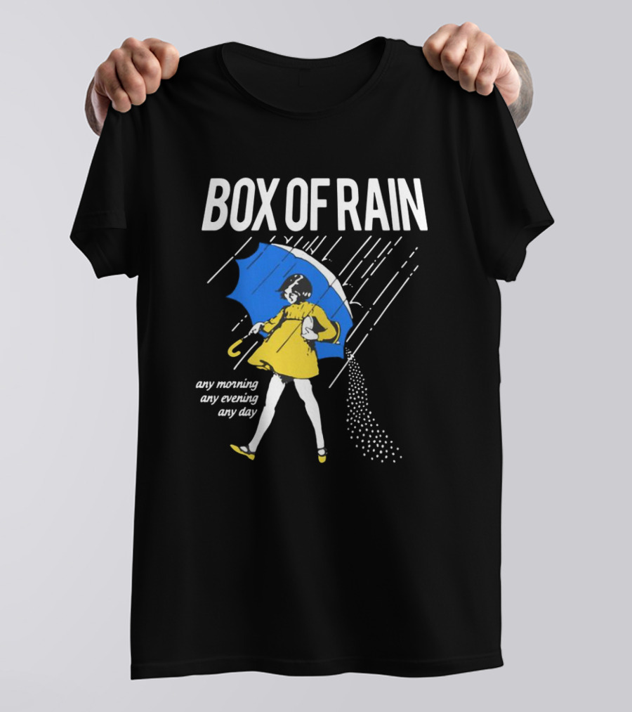 Box Of Rain Any Morning Any Evening Any Day T-Shirt