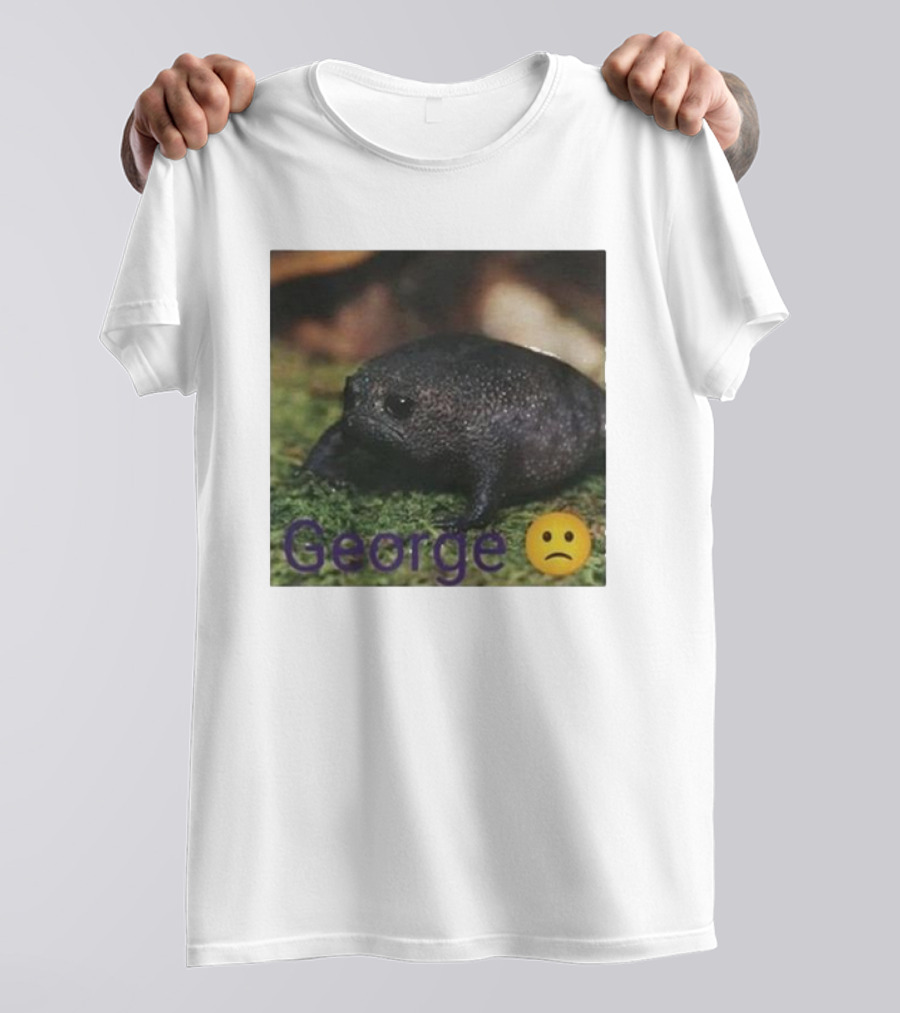George Sad Frog Meme Inspired Image T-Shirt