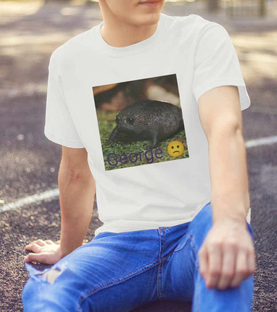 George Sad Frog Meme Inspired Image T-Shirt