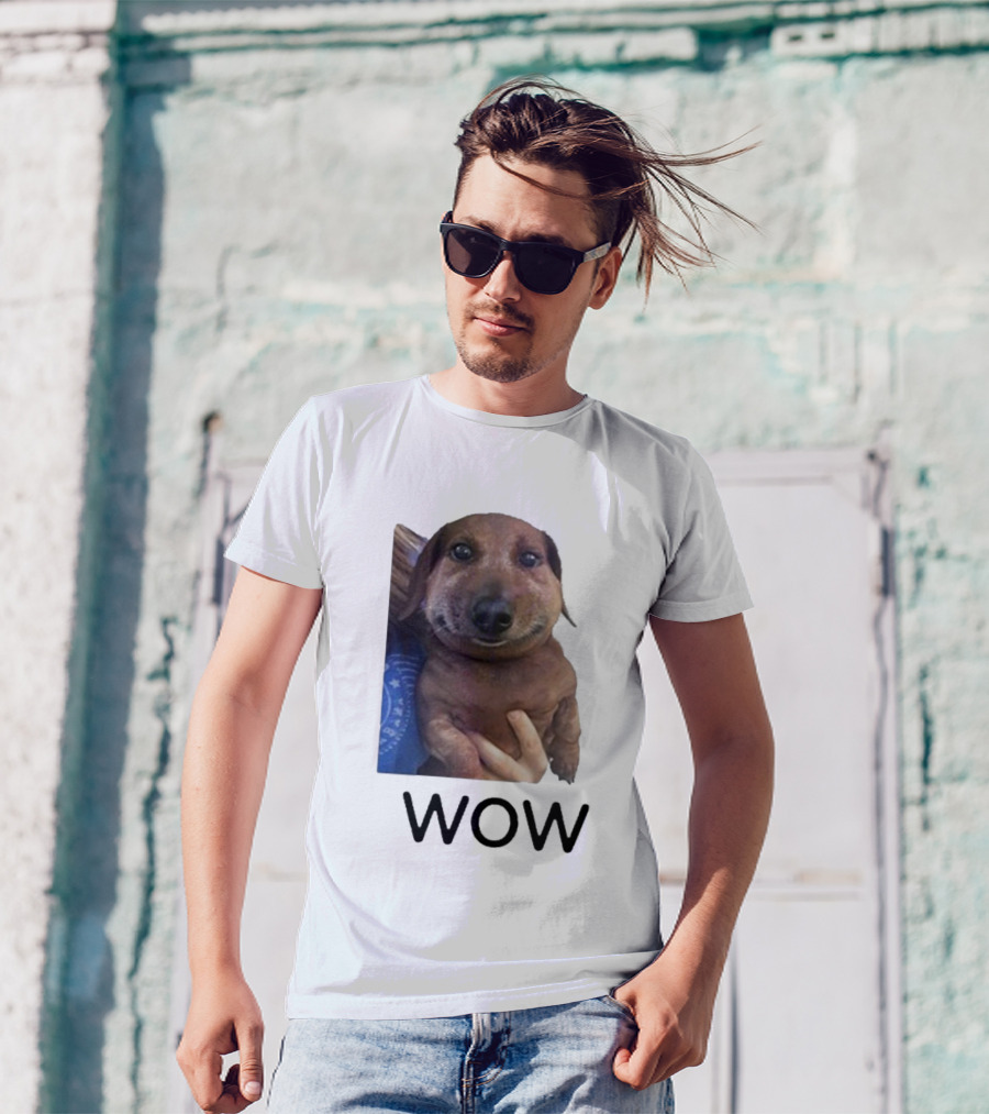 Fallenchungus Wow Dog Meme With Funny Expression T-Shirt
