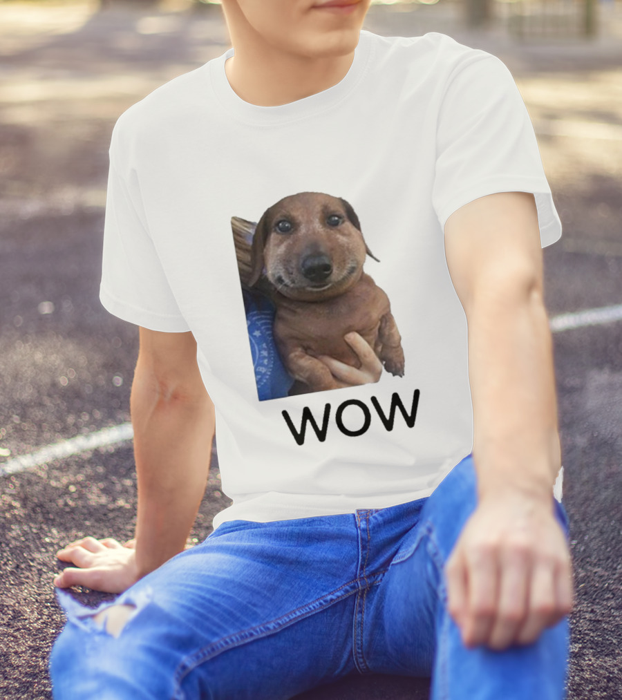 Fallenchungus Wow Dog Meme With Funny Expression T-Shirt