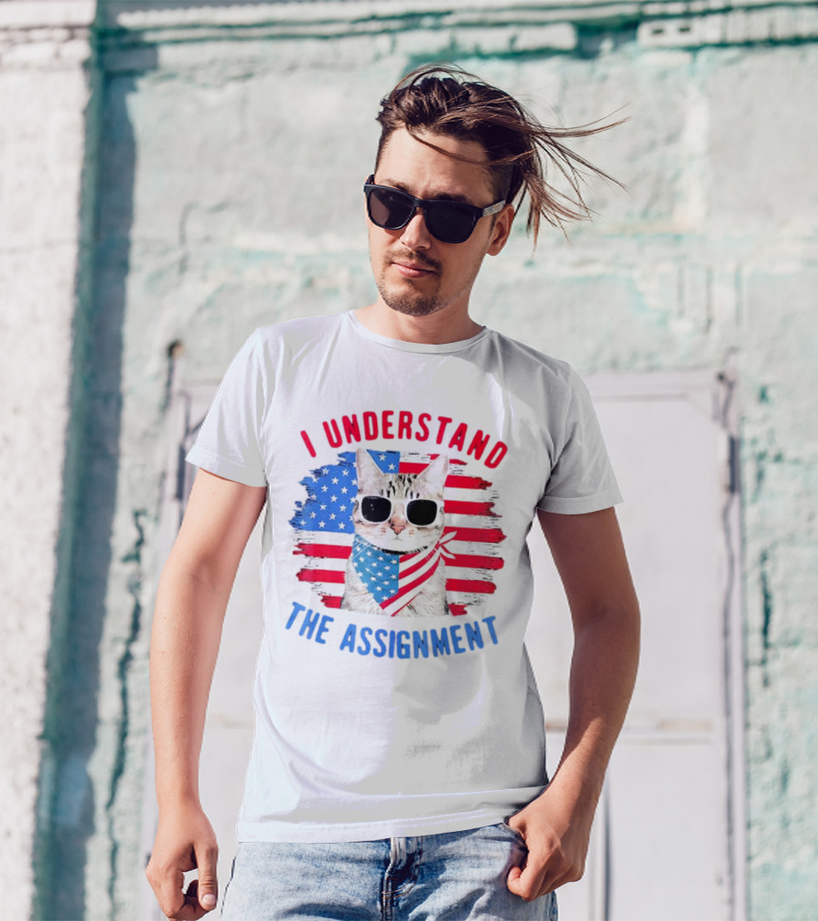 I Understand The Assignment Cat With American Flag Sunglasses And Scarf T-Shirt
