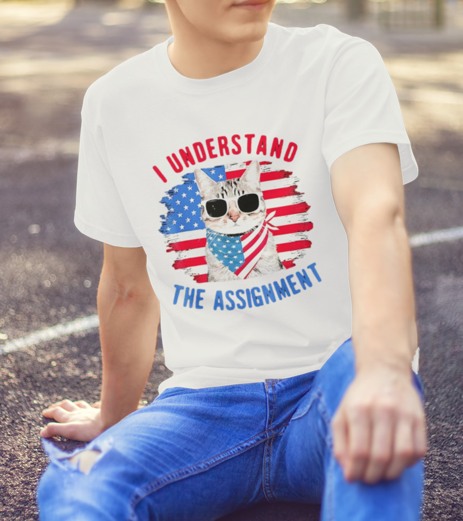 I Understand The Assignment Cat With American Flag Sunglasses And Scarf T-Shirt