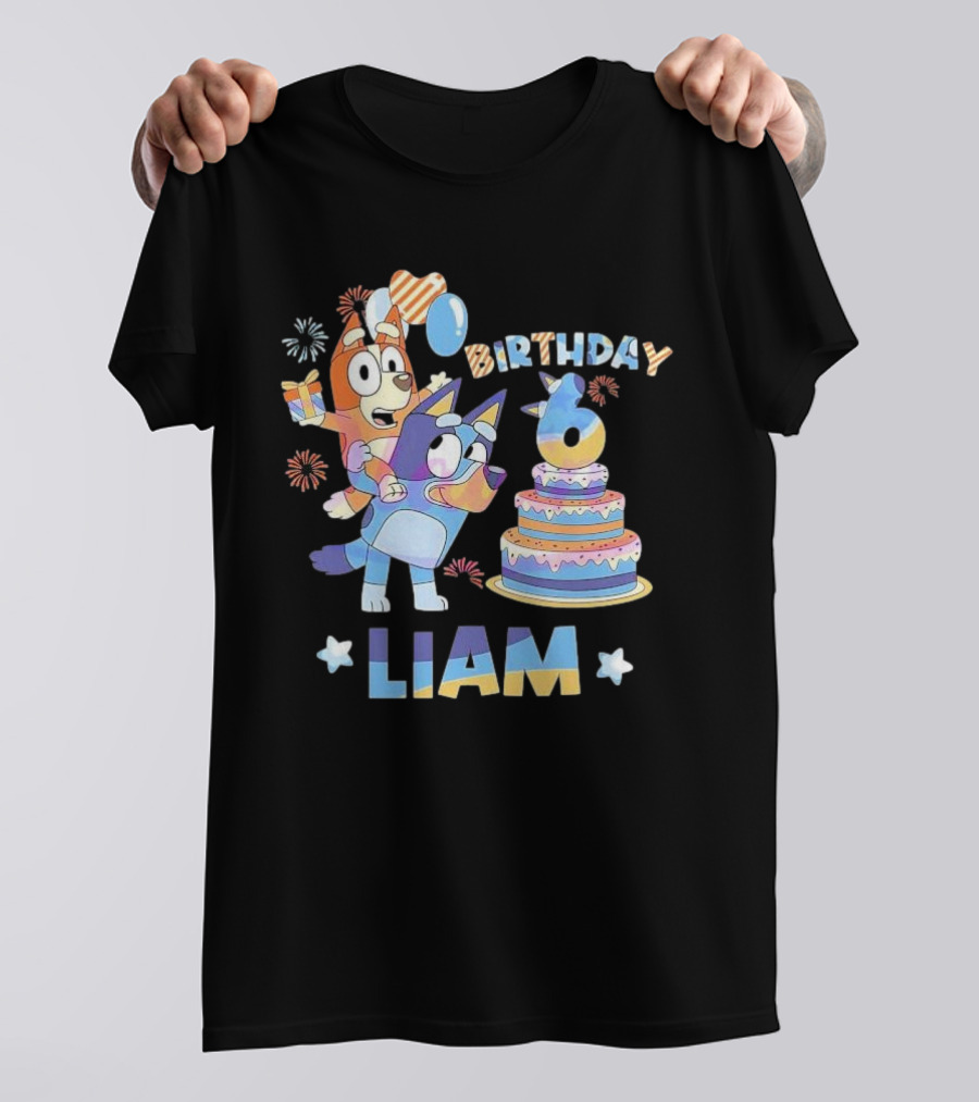 Birthday 6 Liam Funny It's My Birthday T-Shirt