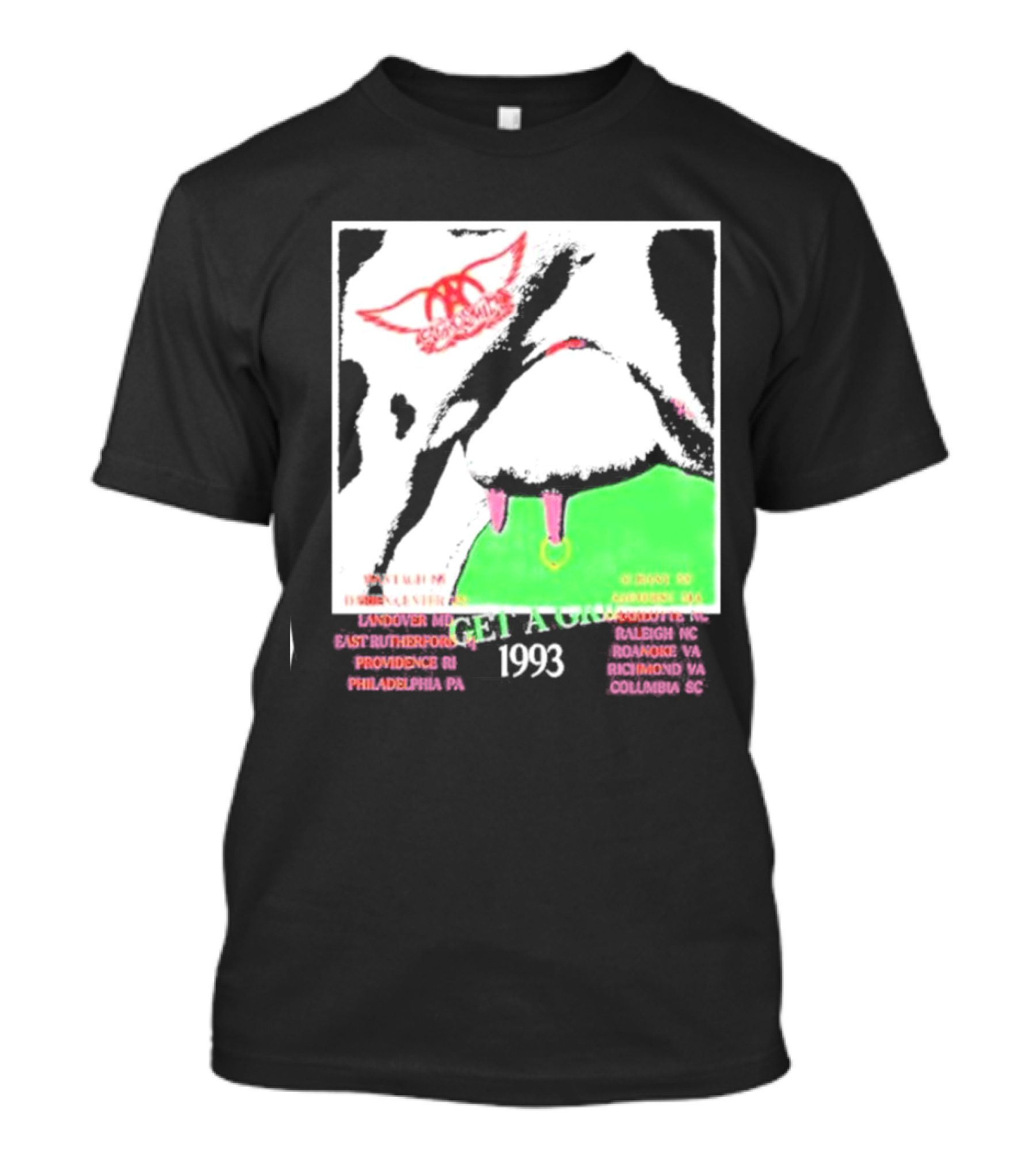 Aerosmith Get A Grip 1993 Tour Landover East Rutherford Providence Philadelphia Raleigh Roanoke Richmond Columbia T-Shirt