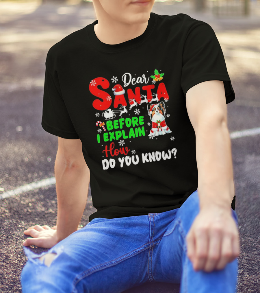 Dear Santa Before I Explain How Do You Know Santa Hat Reindeer Dog Xmas T-Shirt