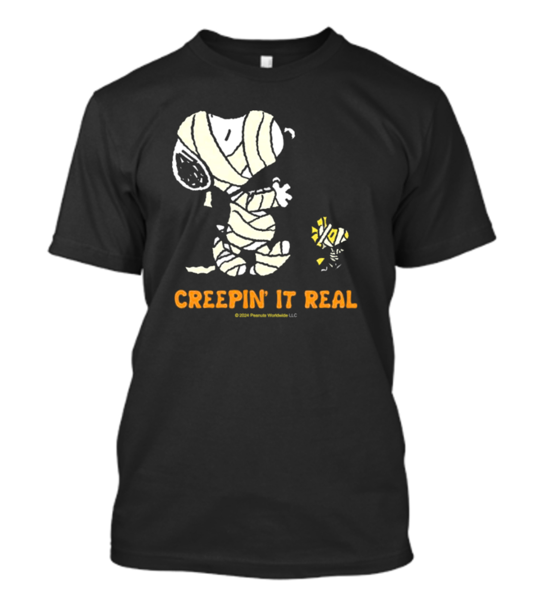 Peanuts Snoopy Woodstock Mummy Creepin’ It Real Halloween ©2004 Peanuts Worldwide LLC T-Shirt