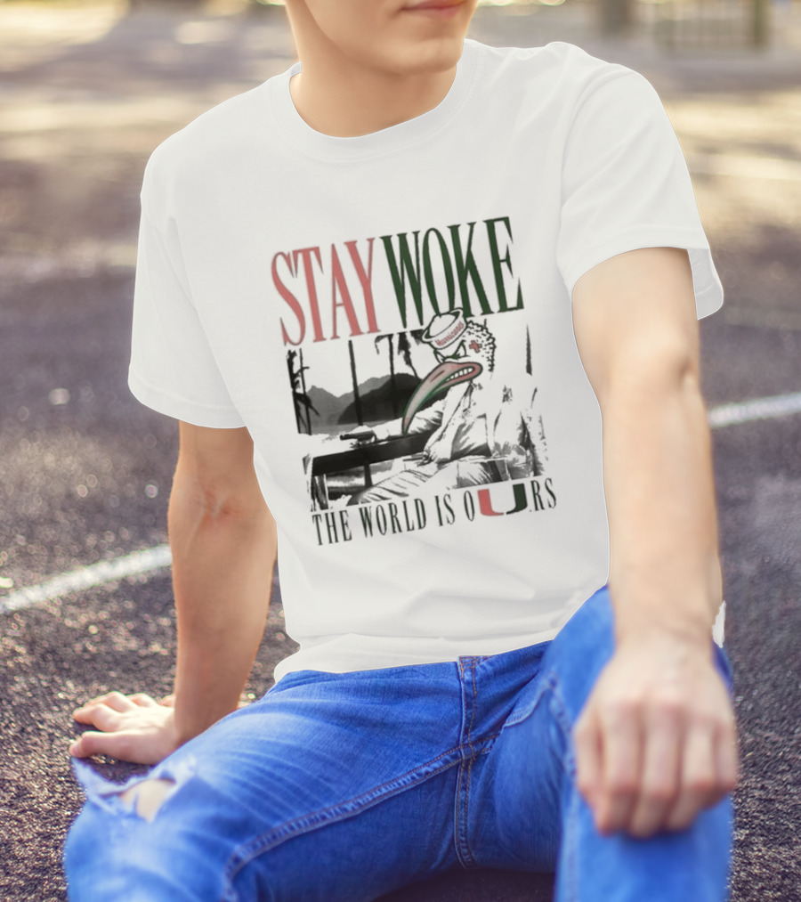 Stay Woke The World Is Ours Miami Hurricanes Vintage T-Shirt