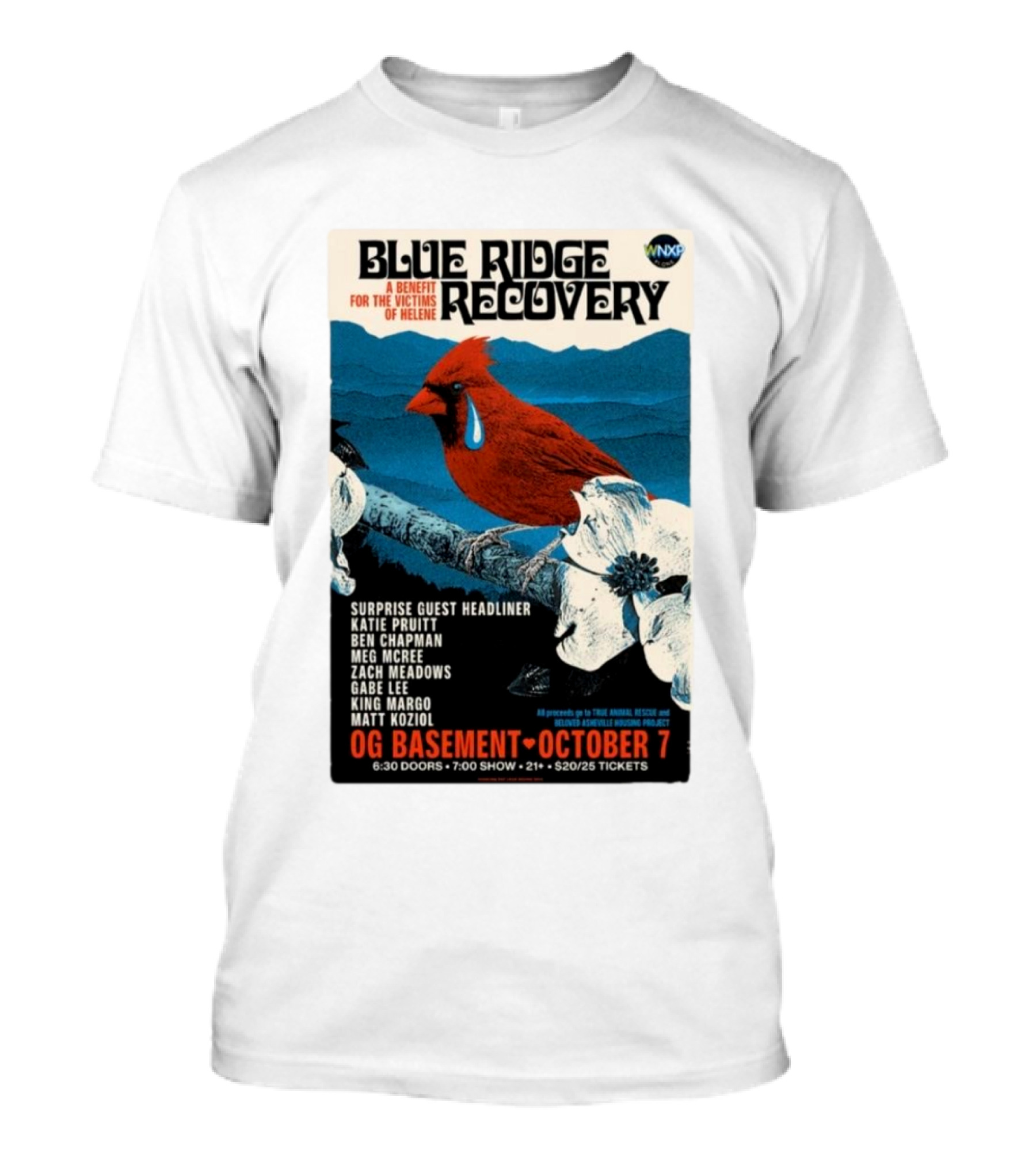 Blue Ridge Recovery Benefit Nashville Oct 7 2024 OG Basement Concert Event T-Shirt