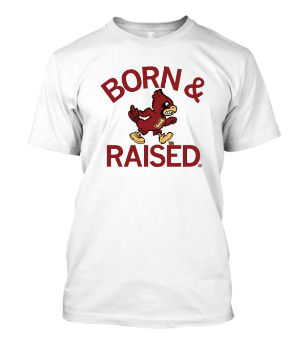 Born And Raised Cyclones Vintage Heavyweight T-Shirt