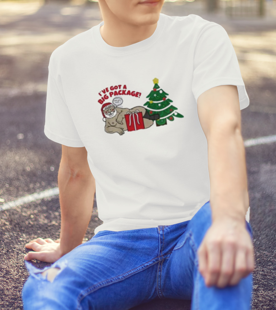 I've Got A Big Package Santa's Tree Smash Ugly Christmas T-Shirt