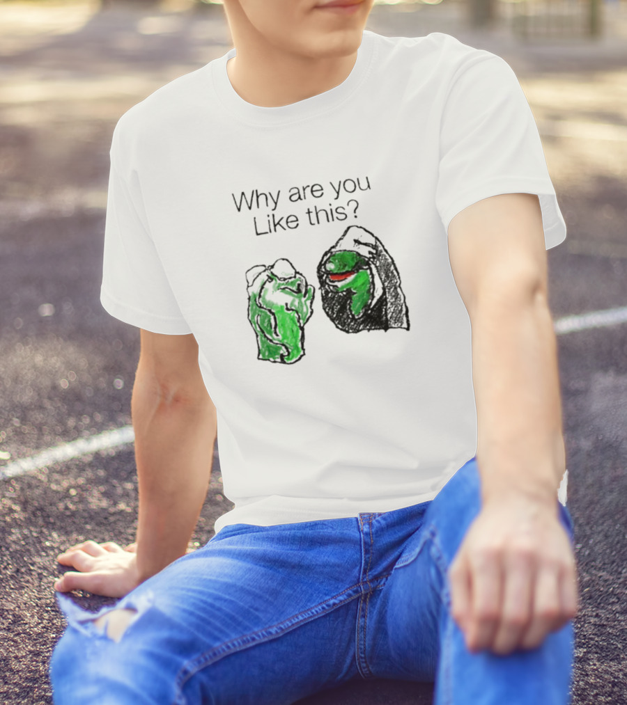 Why Are You Like This Meme Frog Hoodie Inner Self Conflict T-Shirt