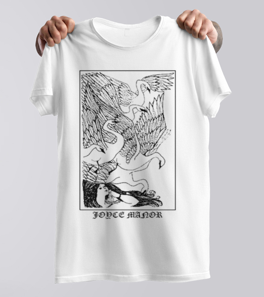 Joyce Manor Turtle Goose Girl Peaceful Interaction T-Shirt