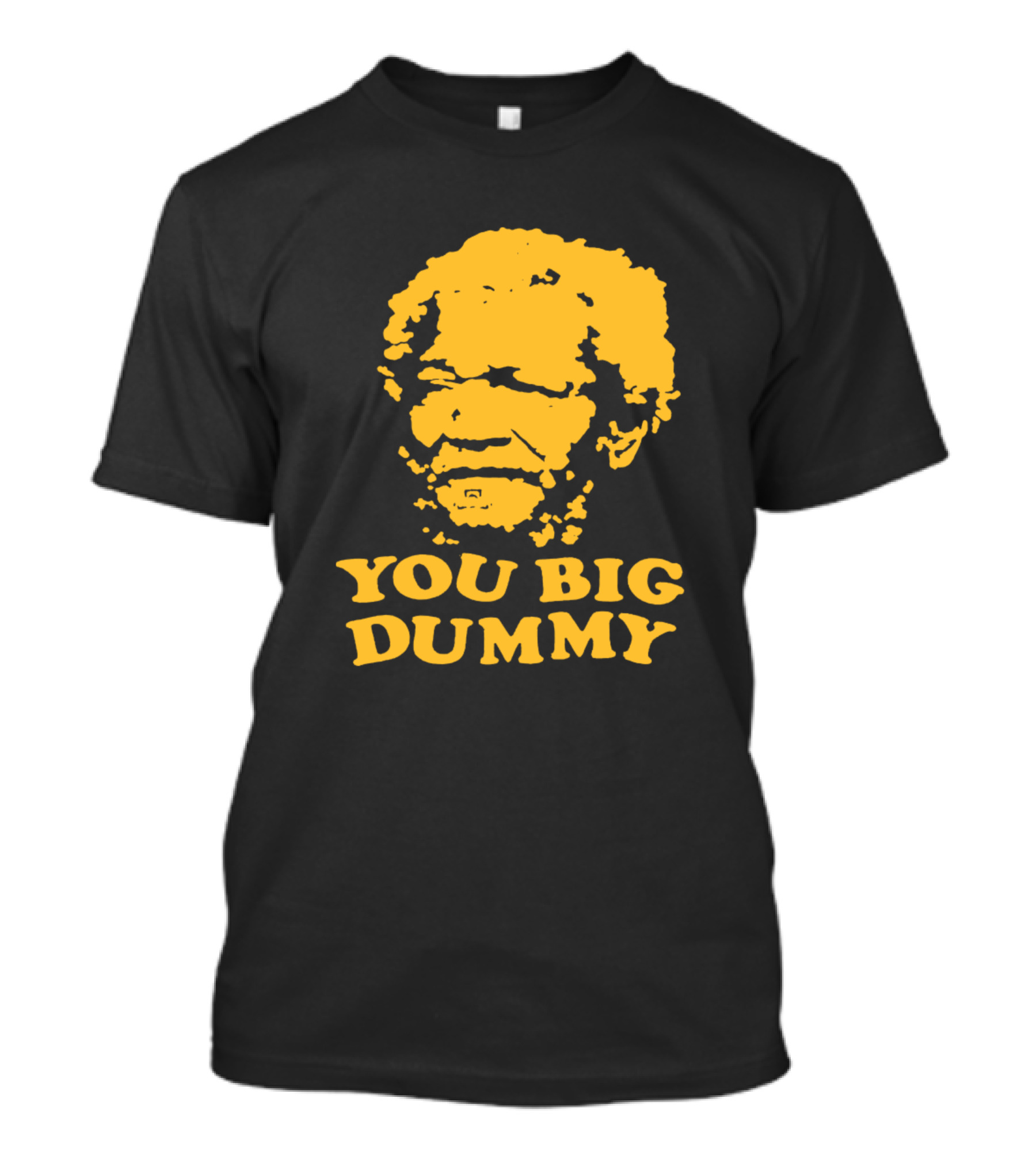 Sandford You Big Dummy Father With Son T-Shirt