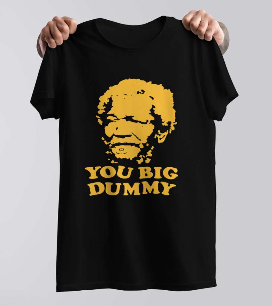Sandford You Big Dummy Father With Son T-Shirt