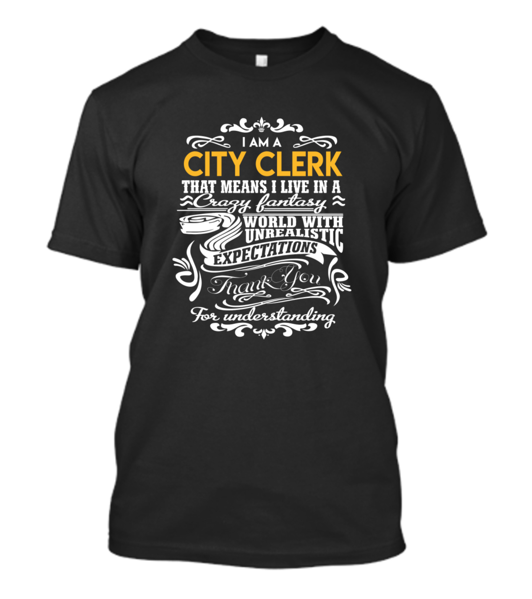 I Am A City Clerk That Means I Live In A Crazy Fantasy World With Unrealistic Expectations Thank You For Understanding T-Shirt