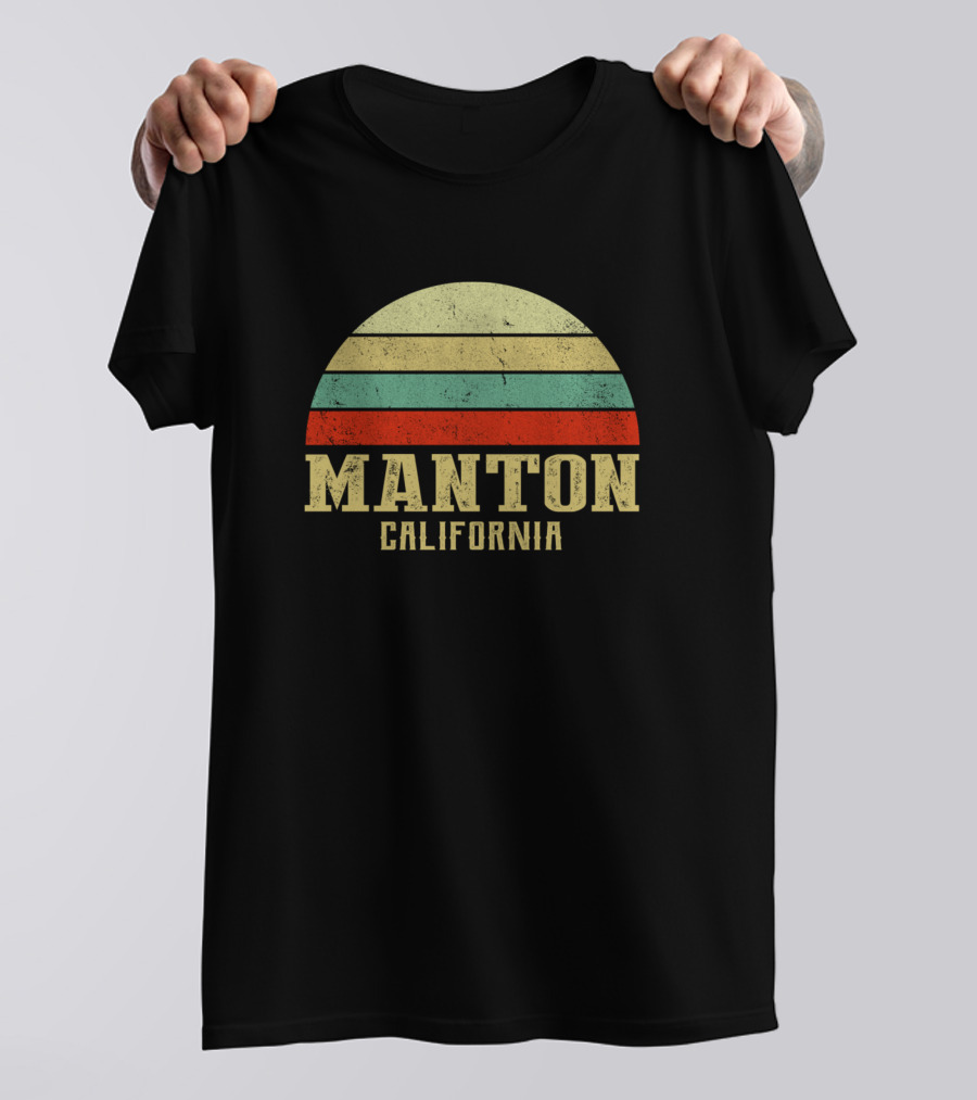 Manton California Vintage Retro Striped Sunset Circle T-Shirt