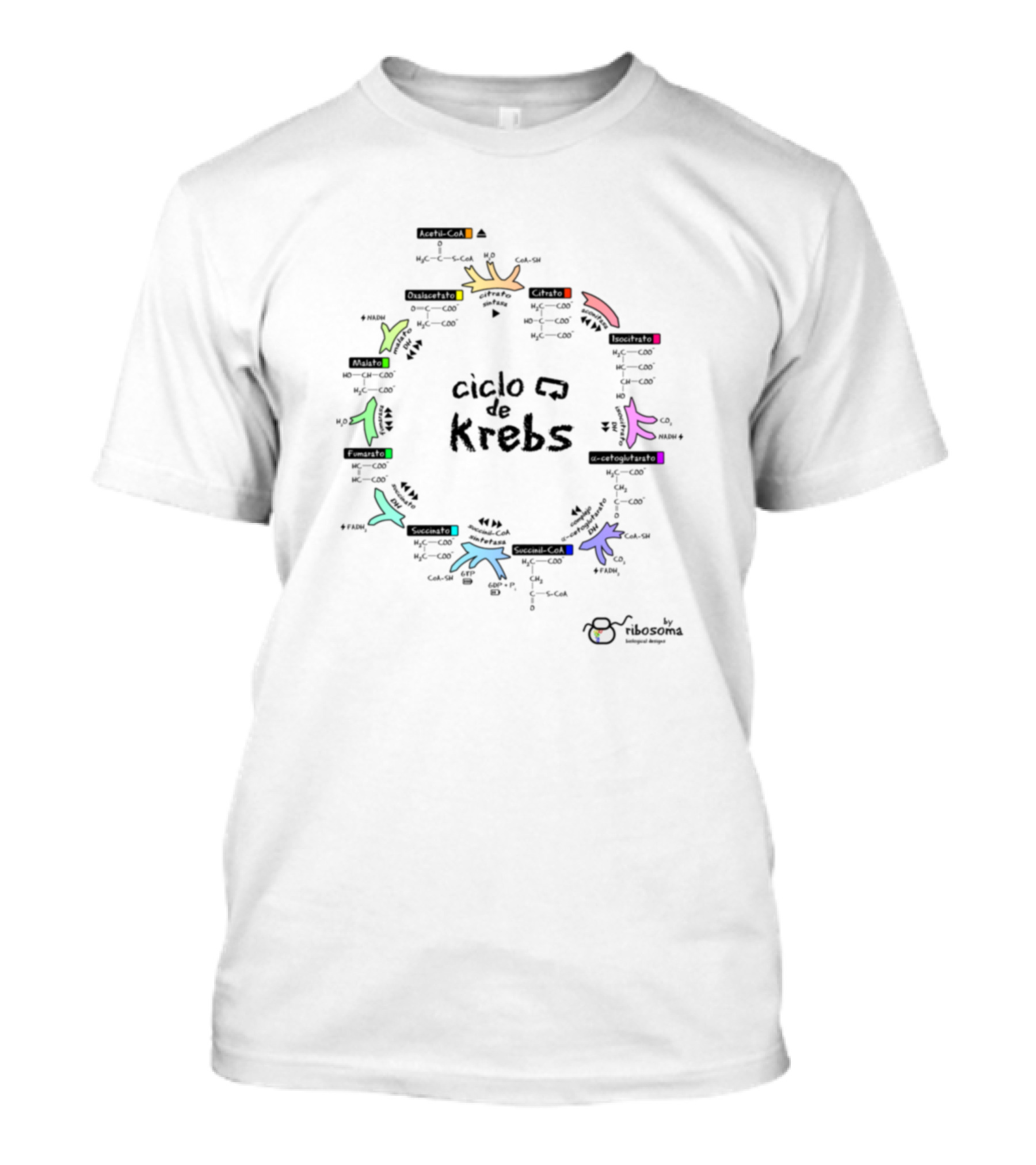 Ciclo De Krebs Colorful Kids College Ribosoma T-Shirt
