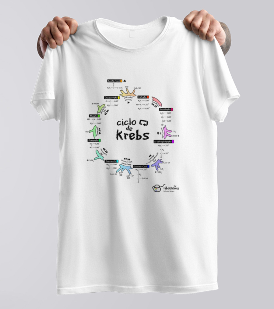 Ciclo De Krebs Colorful Kids College Ribosoma T-Shirt