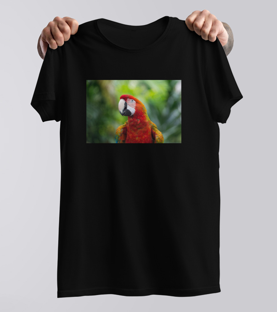 Scarlet Macaw In Vibrant Jungle Greenery T-Shirt
