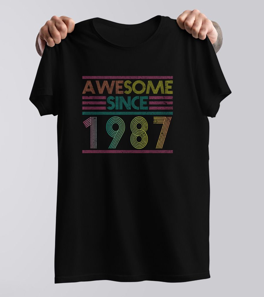 Awesome Since 1987 Best Retro Vintage Birthday Year T-Shirt