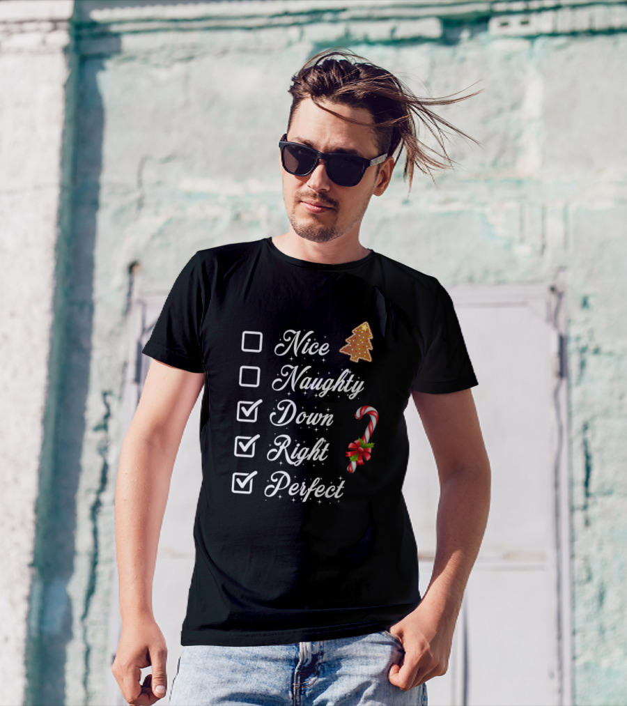 Nice Naughty Down Right Perfect Christmas Cookie Candy Cane T-Shirt