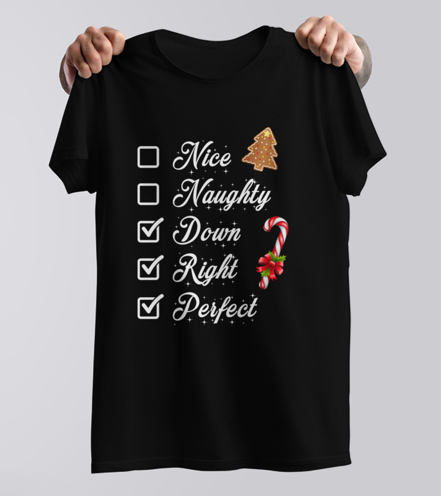 Nice Naughty Down Right Perfect Christmas Cookie Candy Cane T-Shirt