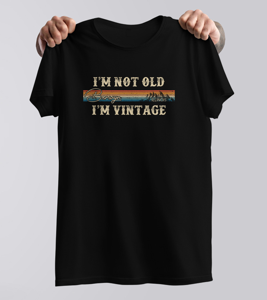 I'm Not Old I'm Vintage Berwyn Illinois Retro Stripe Vintage T-Shirt