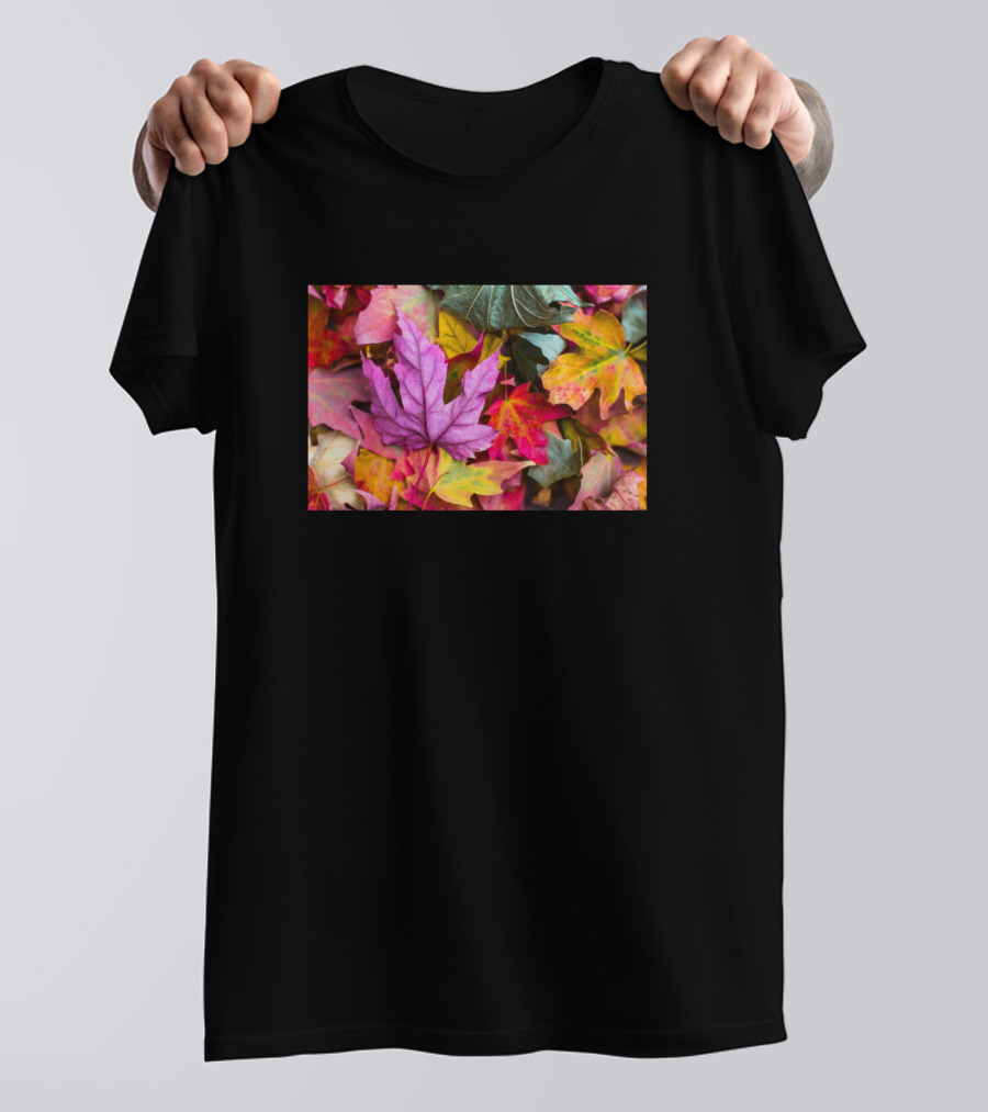 Autumn Fall Colors Colorful Leaves Vibrant Seasonal Foliage T-Shirt