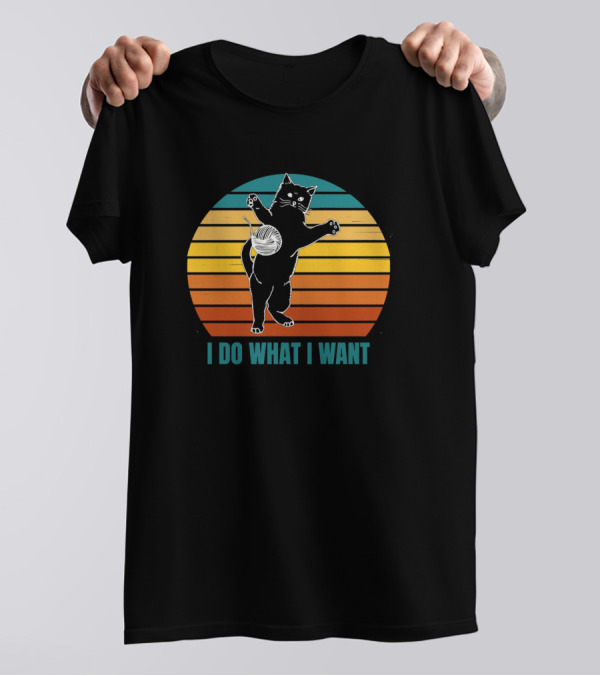 I Do What I Want Black Cat Vintage Sunset T-Shirt