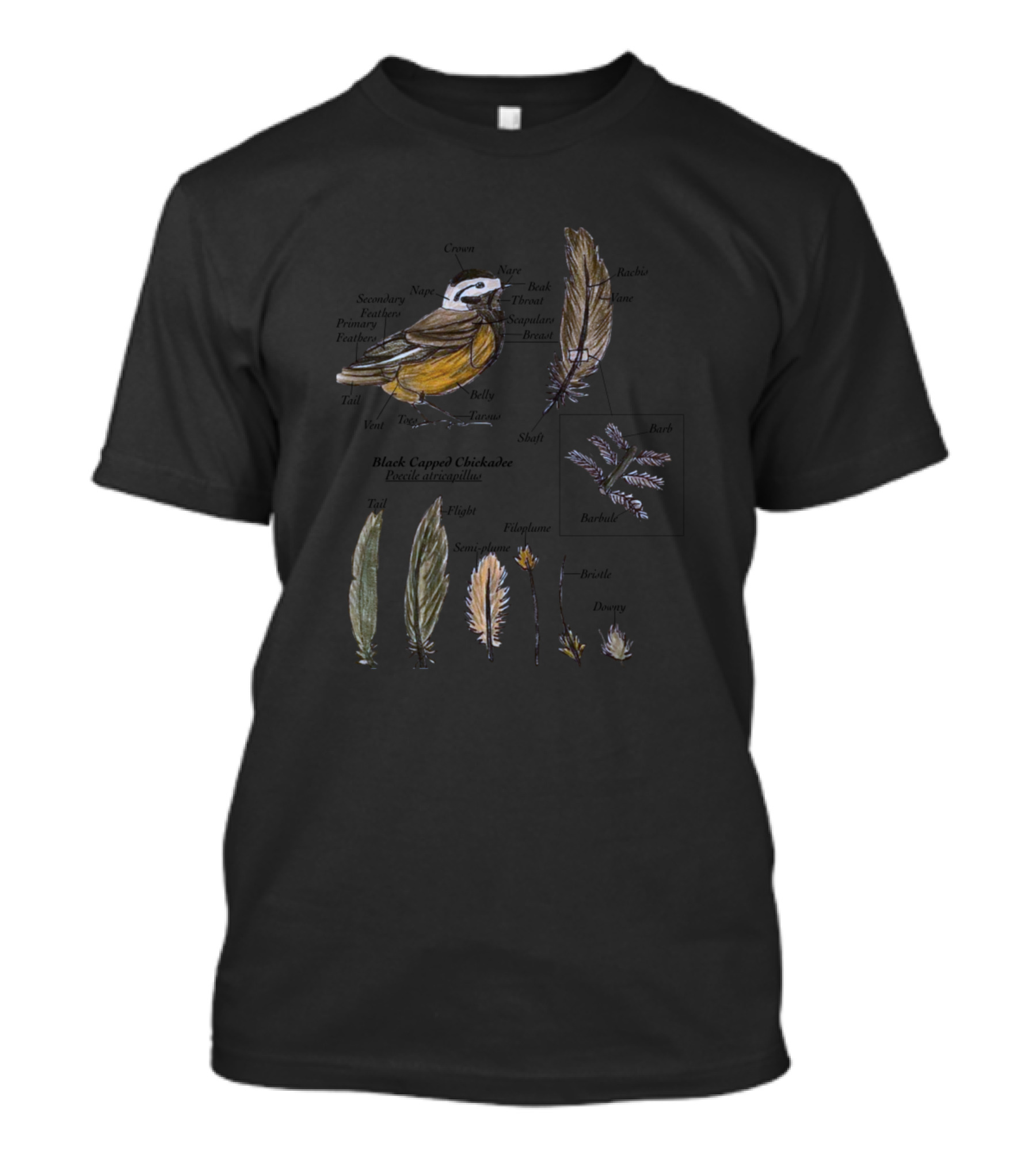 Complete Anatomy Black Capped Chickadee Feathers Bark Barbara Bruce Bird T-Shirt