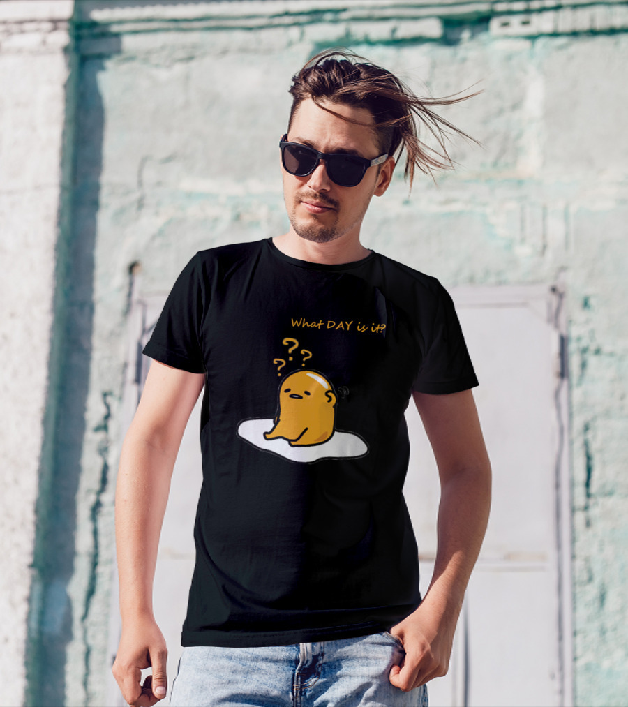 What Day Is It Lazy Gude Missing Day T-Shirt