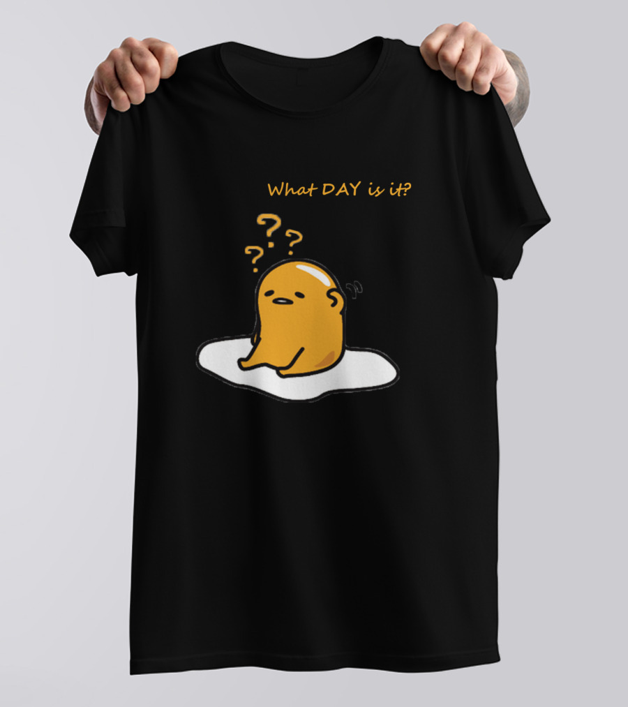 What Day Is It Lazy Gude Missing Day T-Shirt