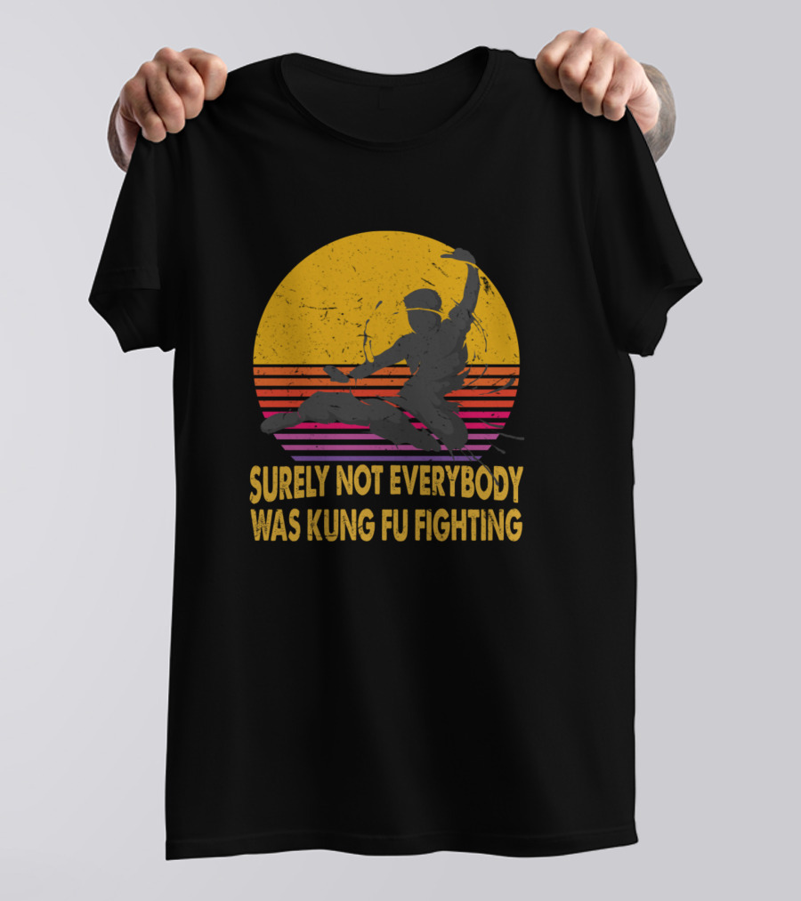 Surely Not Everybody Was Kung Fu Fighting Retro Martial Arts Sunset T-Shirt