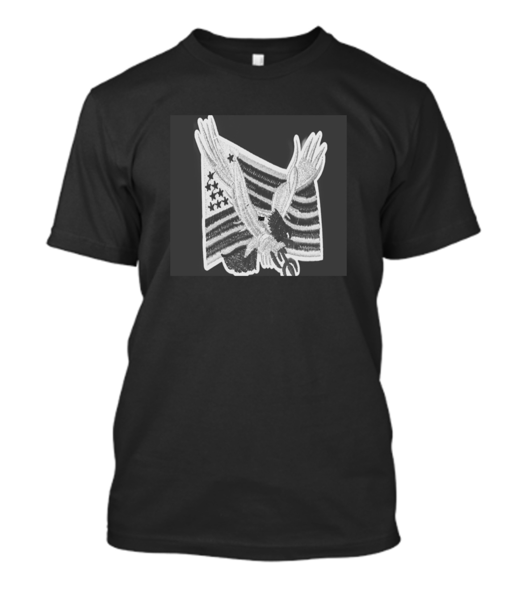 USA American Flag Eagle Stars T-Shirt