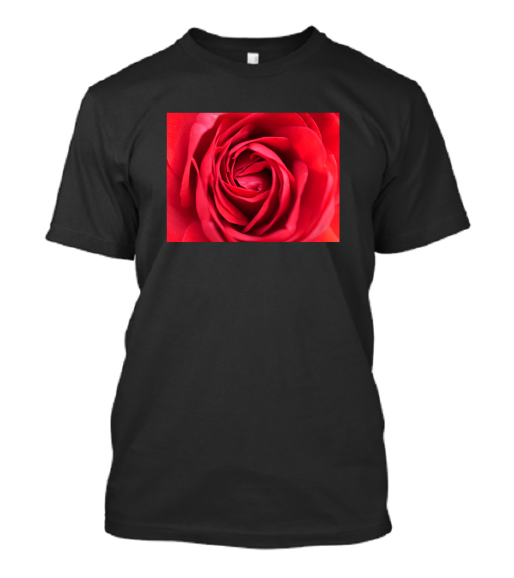Rose Flower Blossom Close-Up T-Shirt