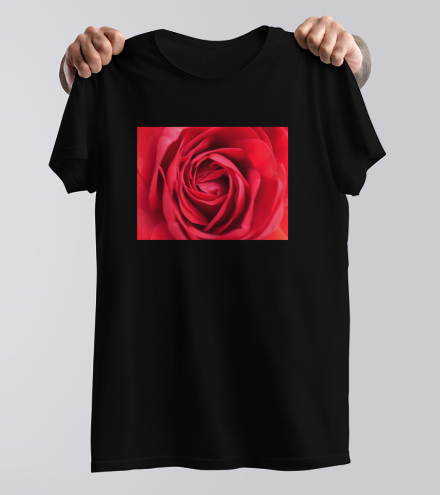 Rose Flower Blossom Close-Up T-Shirt